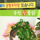 웅천 참 옻닭