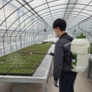 성보골드 이미지