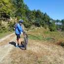 도사곡길 이미지