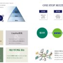 파란애드