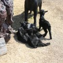 남원목장 이미지