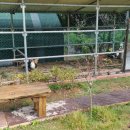 잔디놀이터 이미지