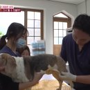 물병원 네이버블로그