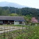 황골농장 이미지