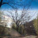 오토 뽑기방 | 울산 산 속에서 힐링하기 좋은 산뷰 저수지뷰 울산 글램핑 힐링빌리지 글램핑 1번 자리 사용 후기