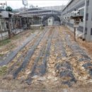 내곡동269 이미지