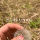 디자인츄 이미지