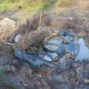 무성농장 이미지