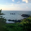 협재회관협재리사무소 | 제주도 6월 3박4일 여행 코스, 동선 낭비 없는 지역별 로컬 스팟 총정리