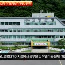 고령군 설맞이 전통시장상가장보기행사 진행 경북도민방송TV 고령군청 고령군의회 이남철군수 국민의소리 한국신문방송인협회 이미지