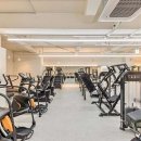 휘트니스 에일린 이미지