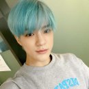 엔씨디 이미지