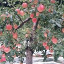 방자농장 이미지