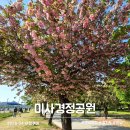 미사뚝방산책로 | 하남 미사경정공원 겹벚꽃 개화 현황 지난 주말 산책 후기