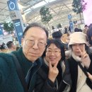26/1/15~1/18 대만 여행 이미지