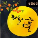 고려인삼건강원