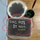 다이소 셀프 미생물 처리기 6개월 후기 / 자취생 추천 / Q&amp;A