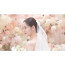 화사하다 - 서구 농성동 | 구미 라뷰 끌레르벨 본식 DVD 고민 끝! 테레즈 필름 계약 후기