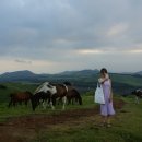 써니허니 게스트하우스 이미지