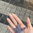 핑크펑크드 이미지