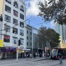 올(OR) | 호주 여행🇦🇺(6) 시드니 블루마운틴 올데이 투어 내돈내산 대만족 후기