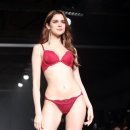 종합란제리 이미지