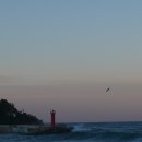 리틀스퀘어 이미지