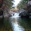 새론민박 이미지