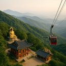팔공산케이블카 이미지