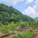 근삼농장 이미지