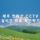 재난CCTV2(안성천) | 제주도 한라산 국립공원 CCTV 실시간 바로 확인하기