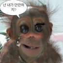 이판사판 | 내 헌메 로제씨와 이태원 이판사판 후기
