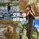 네오 | 일본 오키나와 아이와 가볼만한곳 네오파크 동물원 후기