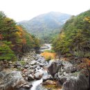 무릉계곡 이미지