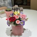 늘, 바라봄 이미지