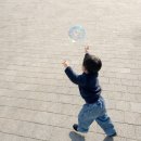 바둑아 사랑해 | 밀린 일상 대방출