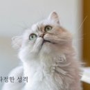 미미사진관 - 사하구 다대로130번길 74 | 미미사진관