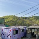 풍경캠핑장 | [천안/아산] 천안무지개카라반캠핑장 애견동반 1박 2일 숙박 후기