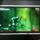 영진안경 이미지