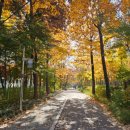 청소년 미디어 리터러시 | [강의] 우리가 만드는 미디어 균형 챌린지 | 청소년 디지털 리터러시 교육