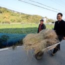 조동마을회관 이미지