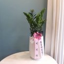 스튜디오올가