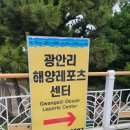 블루 그라운드 카페&펍