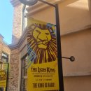 드림인터네셔널 이미지