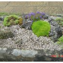 광진제일한의원 이미지