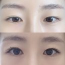 이뻐지는공간 | [의정부 속눈썹] 더이뻐지는샵 속눈썹 연장 후기