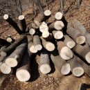 영농조합법인 장촌마을 이미지