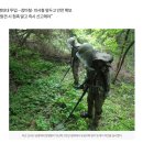 21사단, 양구 천미리 계곡·고방산 일대 유실지뢰 탐지작전 이미지