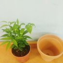 죽백6로 이미지