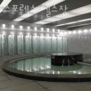 에프스포렉스 이미지